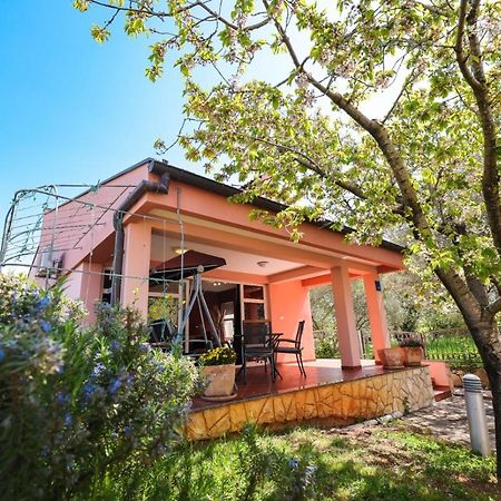 Holiday Home Cvita Sukosan Ngoại thất bức ảnh